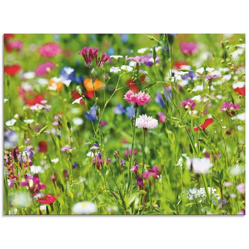 4058661720412 - Glasbild ARTLAND Blumenwiese I Bilder Gr B H 60 cm x 45 cm Glasbild Blumenwiese Querformat 1 St grün Bild Glasbild Glasbilder Bilder in verschiedenen Größen 4058661720412 - Glasbild ARTLAND Blumenwiese I Bilder Gr B H 60 cm x 45 cm Glasbild Blumenwiese Querformat 1 St grün Bild Glasbild Glasbilder Bilder in verschiedenen Größen
