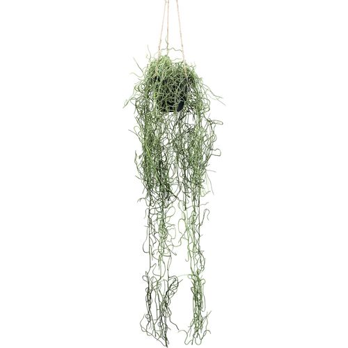 4064118182320 - Kunstpflanze CREATIV GREEN Tillandsia-Hängepflanze weiß H80cm Kunstpflanzen mit filigranem Blattwerk