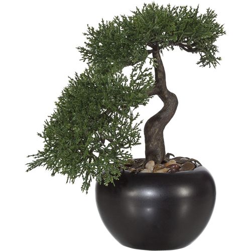 4064118137740 - Kunstbonsai CREATIV GREEN Bonsai Zeder im Keramiktopf Kunstpflanzen Gr H 25 cm grün Kunst-Bonsai 4064118137740 - Kunstbonsai CREATIV GREEN Bonsai Zeder im Keramiktopf Kunstpflanzen Gr H 25 cm grün Kunst-Bonsai