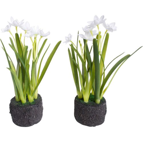 8505459205508 - Kunstblume BOTANIC-HAUS Narzissen Arrangement im Erdballen Kunstpflanzen Gr Ø H 11 cm x 22 cm 2 St weiß Kunst-Blumen 8505459205508 - Kunstblume BOTANIC-HAUS Narzissen Arrangement im Erdballen Kunstpflanzen Gr Ø H 11 cm x 22 cm 2 St weiß Kunst-Blumen