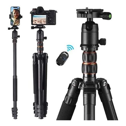 4260397845257 - TACKLIFE MLT05 77 Stabiles Stativ 55cm-178cm regulierbar 9kg Zuladung 360° Wanderstöcke Einbeinstativ Selfie-Stick Kugeladapter Kamera Umkehrteleskop für Bodennähe MLT05 Reflex-Stativ 4260397845257 - TACKLIFE MLT05 77 Stabiles Stativ 55cm-178cm regulierbar 9kg Zuladung 360° Wanderstöcke Einbeinstativ Selfie-Stick Kugeladapter Kamera Umkehrteleskop für Bodennähe MLT05 Reflex-Stativ
