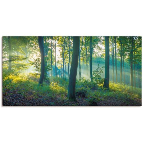 4062144638996 - Wandbild ARTLAND Wald Panorama Bilder Gr B H 100 cm x 50 cm Leinwandbild Waldbilder Querformat 1 St grün Kunstdrucke als Alubild Leinwandbild Wandaufkleber oder Poster in versch Größen 4062144638996 - Wandbild ARTLAND Wald Panorama Bilder Gr B H 100 cm x 50 cm Leinwandbild Waldbilder Querformat 1 St grün Kunstdrucke als Alubild Leinwandbild Wandaufkleber oder Poster in versch Größen
