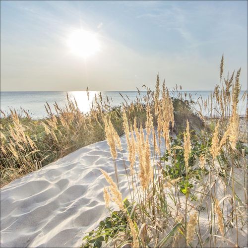 4019449471551 - PRO ART Aludibondbild LOOK (BHT 98x98x110 cm) BHT 98x98x110 cm bunt Alubild Metallbild 4019449471551 - PRO ART Aludibondbild LOOK (BHT 98x98x110 cm) BHT 98x98x110 cm bunt Alubild Metallbild