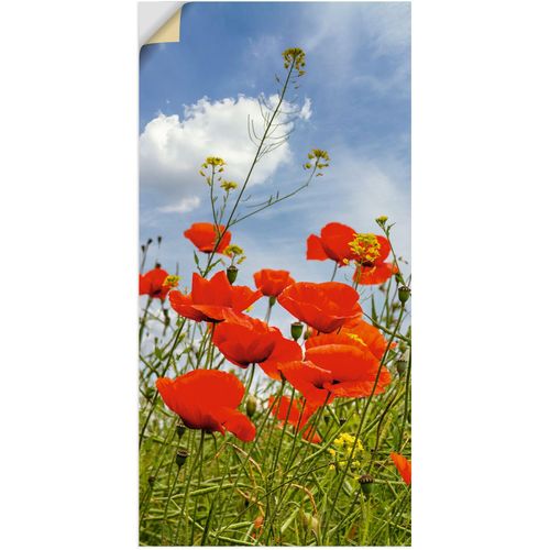 4062144818763 - Wandbild ARTLAND Mohnblumen im Panorama Bilder Gr B H 30 cm x 60 cm Wandaufkleber - Vinyl Blumenbilder Hochformat 1 St rot Kunstdrucke als Alubild Leinwandbild Wandaufkleber oder Poster in versch Größen 4062144818763 - Wandbild ARTLAND Mohnblumen im Panorama Bilder Gr B H 30 cm x 60 cm Wandaufkleber - Vinyl Blumenbilder Hochformat 1 St rot Kunstdrucke als Alubild Leinwandbild Wandaufkleber oder Poster in versch Größen