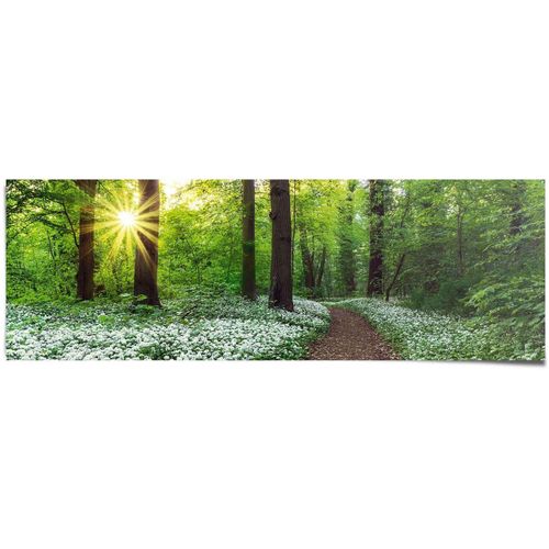 8714597576474 - Poster REINDERS Waldlichtung Frühling grün (farbe bild(er) grün) B158cm H53cm Papier Bilder 8714597576474 - Poster REINDERS Waldlichtung Frühling grün (farbe bild(er) grün) B158cm H53cm Papier Bilder