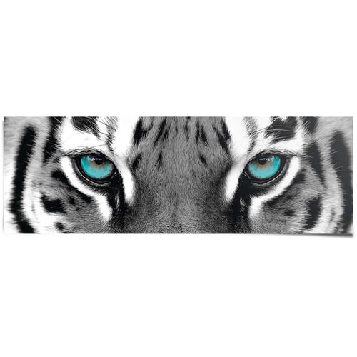 8714597615456 - Poster REINDERS Sibirischer Tiger schwarz (farbe bild(er) schwarz weiß) B158cm H53cm T01cm Papier Bilder 8714597615456 - Poster REINDERS Sibirischer Tiger schwarz (farbe bild(er) schwarz weiß) B158cm H53cm T01cm Papier Bilder