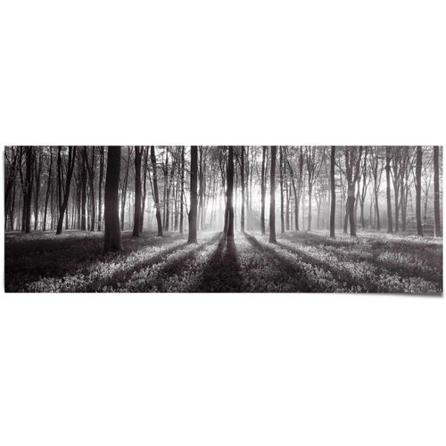 8714597575835 - Poster REINDERS Sonnenaufgang im Wald Schwarz-Weiß schwarz (farbe bild(er) schwarz) B158cm H53cm Papier Bilder