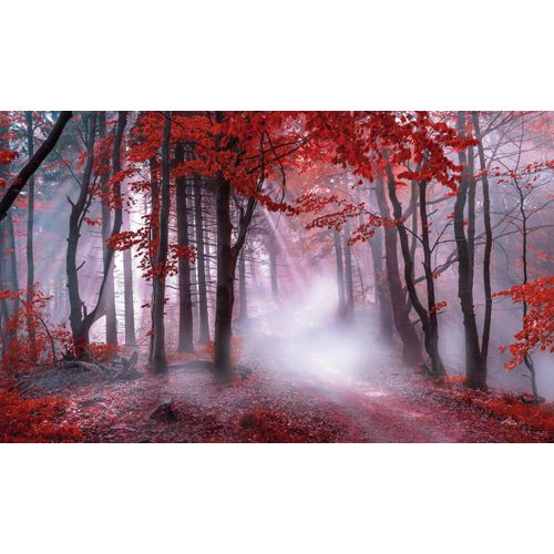 4032295092244 - Leinwandbild BÖNNINGHOFF rot (farbe bild(er) rot schwa) B150cm H90cm T45cm Canvas MDF Bilder 4032295092244 - Leinwandbild BÖNNINGHOFF rot (farbe bild(er) rot schwa) B150cm H90cm T45cm Canvas MDF Bilder