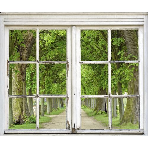 4049009357636 - Wandsticker QUEENCE Allee grün T01cm Wandtattoos Wandsticker Wandbild selbstklebend Bäume Straße Weg Allee 4049009357636 - Wandsticker QUEENCE Allee grün T01cm Wandtattoos Wandsticker Wandbild selbstklebend Bäume Straße Weg Allee