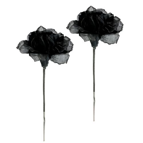 4019844816698 - Kunstblume IGEA Amaryllis 2er Set schwarz B16cm H60cm L12cm Polyester Kunstpflanzen 60cm Blumen Zweig Dekozweig Weihnachtsdeko Weihnachtsblume Deko 4019844816698 - Kunstblume IGEA Amaryllis 2er Set schwarz B16cm H60cm L12cm Polyester Kunstpflanzen 60cm Blumen Zweig Dekozweig Weihnachtsdeko Weihnachtsblume Deko