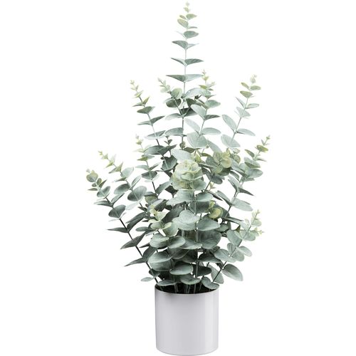 4064118319627 - Kunstpflanze CREATIV GREEN Eukalyptus grün H65cm Kunststoff Kunstpflanzen mit üppigem Blattwerk 4064118319627 - Kunstpflanze CREATIV GREEN Eukalyptus grün H65cm Kunststoff Kunstpflanzen mit üppigem Blattwerk