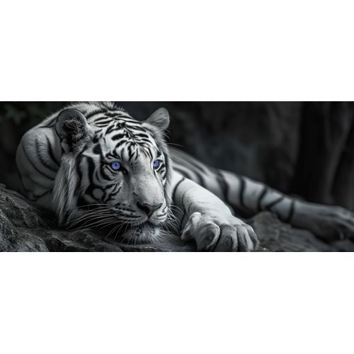 4032295093845 - Leinwandbild BÖNNINGHOFF schwarz (farbe bild(er) schwarz w) B140cm H60cm T18cm Canvas MDF Bilder