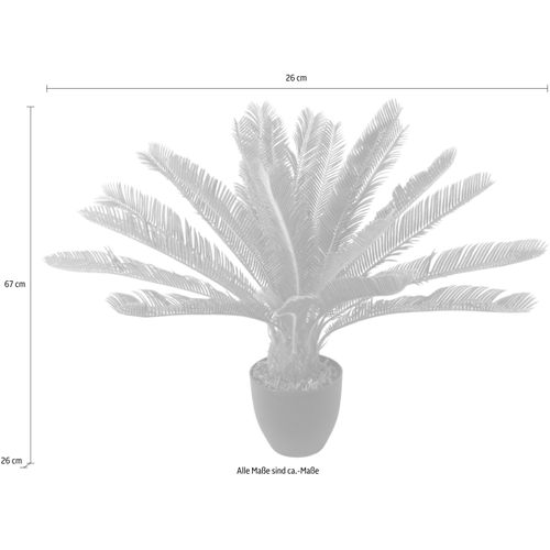 4019844705121 - Kunstpflanze IGEA Cycaspalme im Topf Kunstpflanzen Gr B H 26 cm x 67 cm 1 St grün Kunstpalme Kunstpflanze Kunstpalmen Kunstpflanzen 4019844705121 - Kunstpflanze IGEA Cycaspalme im Topf Kunstpflanzen Gr B H 26 cm x 67 cm 1 St grün Kunstpalme Kunstpflanze Kunstpalmen Kunstpflanzen
