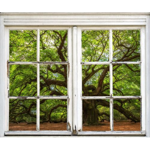 4049009358169 - Wandsticker QUEENCE Baum Wandtattoos Gr B H T 40 cm x 60 cm x 01 cm Natur grün Wandtattoos Natur 4049009358169 - Wandsticker QUEENCE Baum Wandtattoos Gr B H T 40 cm x 60 cm x 01 cm Natur grün Wandtattoos Natur