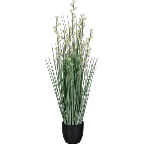 4064118319658 - Kunstgras CREATIV GREEN Gras Juncus grün H60cm Kunststoff Kunstpflanzen mit zarten Blüten 4064118319658 - Kunstgras CREATIV GREEN Gras Juncus grün H60cm Kunststoff Kunstpflanzen mit zarten Blüten