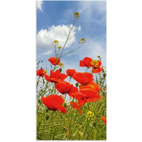 4062144818701 - Wandbild ARTLAND Mohnblumen im Panorama Bilder Gr B H 30 cm x 60 cm Alu-Dibond-Druck Blumenbilder Hochformat 1 St rot Kunstdrucke als Alubild Leinwandbild Wandaufkleber oder Poster in versch Größen 4062144818701 - Wandbild ARTLAND Mohnblumen im Panorama Bilder Gr B H 30 cm x 60 cm Alu-Dibond-Druck Blumenbilder Hochformat 1 St rot Kunstdrucke als Alubild Leinwandbild Wandaufkleber oder Poster in versch Größen