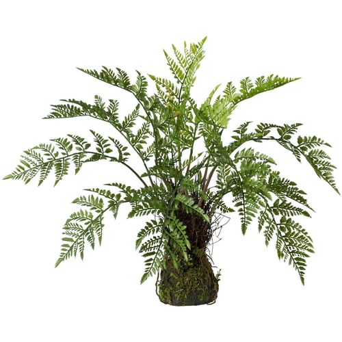 4003529905821 - Kunstpflanze CREATIV GREEN Kunstpflanzen Gr H 50 cm 1 St grün Kunstpflanze Zimmerpflanze Künstliche Zimmerpflanzen Kunstpflanzen 4003529905821 - Kunstpflanze CREATIV GREEN Kunstpflanzen Gr H 50 cm 1 St grün Kunstpflanze Zimmerpflanze Künstliche Zimmerpflanzen Kunstpflanzen