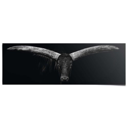 8714597615470 - Poster REINDERS Ochse schwarz (farbe bild(er) schwarz) B158cm H53cm T01cm Papier Bilder 8714597615470 - Poster REINDERS Ochse schwarz (farbe bild(er) schwarz) B158cm H53cm T01cm Papier Bilder