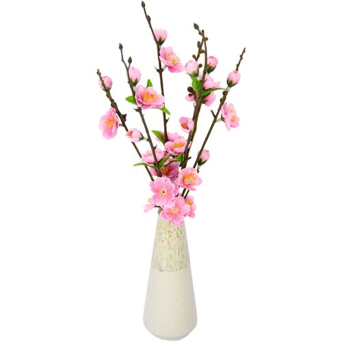 4019844754549 - Kunstblume IGEA Kirschblütenbund Kunstpflanzen Gr B H L 8 cm x 41 cm x 8 cm 1 St rosa Kunst-Blumen Kunstpflanzen Vase aus Keramik 4019844754549 - Kunstblume IGEA Kirschblütenbund Kunstpflanzen Gr B H L 8 cm x 41 cm x 8 cm 1 St rosa Kunst-Blumen Kunstpflanzen Vase aus Keramik