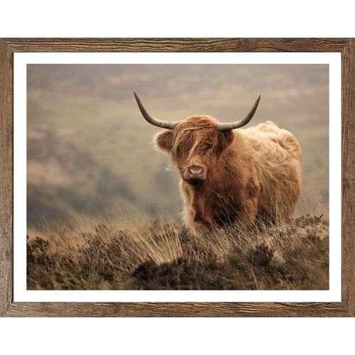 4032295094835 - Bild mit Rahmen BÖNNINGHOFF braun (farbe rahmen schwarz oak farbe bild(er) braun bei) B50cm H40cm T21cm Papier MDF Bilder 4032295094835 - Bild mit Rahmen BÖNNINGHOFF braun (farbe rahmen schwarz oak farbe bild(er) braun bei) B50cm H40cm T21cm Papier MDF Bilder