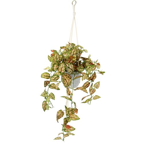 4019844783488 - Kunstpflanze IGEA Künstliche Fittonia Hängeampel mit Topf Kunstpflanze Kunstpflanzen Gr B H L 40 cm x 80 cm x 38 cm 1 St grün (grün rot) Künstliche Zimmerpflanzen Topfpflanze Kunstblume