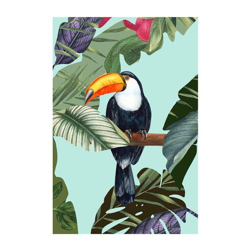 4055065200236 - Bild KOMAR Toco Toucan bunt (farbe bild(er) bunt) B50cm H70cm Papier Holz Bilder Wandbild zur Dekoration - ohne Rahmen 4055065200236 - Bild KOMAR Toco Toucan bunt (farbe bild(er) bunt) B50cm H70cm Papier Holz Bilder Wandbild zur Dekoration - ohne Rahmen