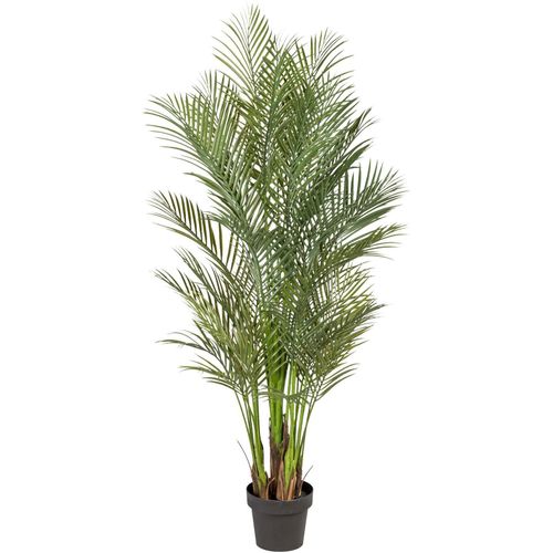 4003529751732 - Kunstpalme CREATIV GREEN Arecapalme Kunstpflanzen Gr H 160 cm 1 St grün Kunstpalme Kunstpalmen Kunstpflanzen