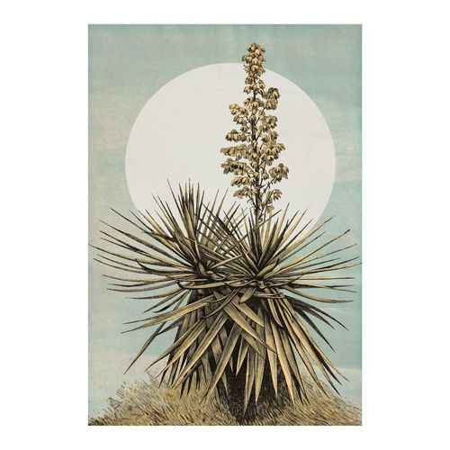 4055065179815 - Bild KOMAR Plans de Lagon bunt (farbe bild(er) bunt) B50cm H70cm Papier Holz Bilder Wandbild zur Dekoration - ohne Rahmen