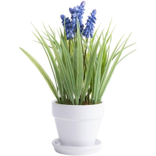 4027234840390 - Kunstblume BOTANIC-HAUS Muskari getopft Kunstpflanzen Gr Ø H 18 cm x 26 cm 1 St lila (lila blau) Kunst-Blumen