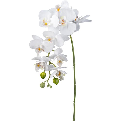 4064118181064 - Kunstorchidee Orchidee Phalaenopsis Orchidee Creativ green Höhe 76 cm mit real-touch-Blüten gelb 4064118181064 - Kunstorchidee Orchidee Phalaenopsis Orchidee Creativ green Höhe 76 cm mit real-touch-Blüten gelb