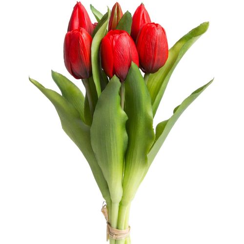 4260600492001 - Kunstblume BOTANIC-HAUS Willa Kunstpflanzen Gr B H 16 cm x 32 cm 7 St rot Kunst-Blumen Tulpenbündel im 7er-Set