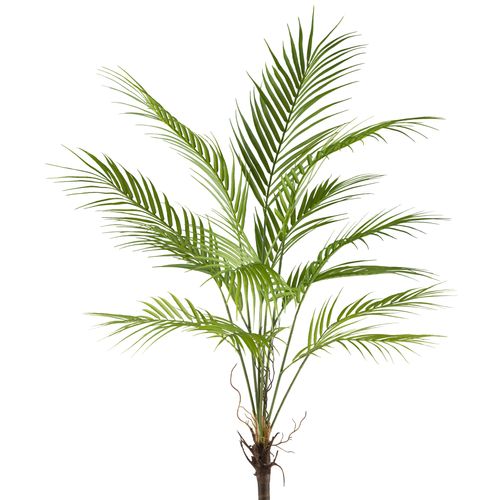 4064118242642 - Kunstpalme CREATIV GREEN Arecapalme grün H95cm Kunststoff Kunstpflanzen mit zahlreichen Palmwedeln 4064118242642 - Kunstpalme CREATIV GREEN Arecapalme grün H95cm Kunststoff Kunstpflanzen mit zahlreichen Palmwedeln