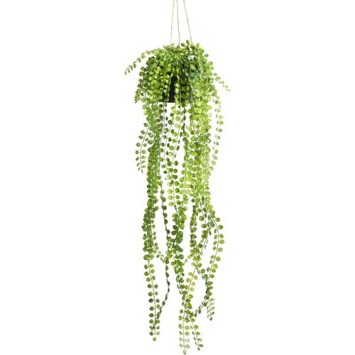 8714344273649 - Künstliche Zimmerpflanze BOTANIC-HAUS Ficus-Pumila-Hängeampel Kunstpflanzen Gr Ø H 19 cm x 60 cm 1 St grün Künstliche Zimmerpflanzen 8714344273649 - Künstliche Zimmerpflanze BOTANIC-HAUS Ficus-Pumila-Hängeampel Kunstpflanzen Gr Ø H 19 cm x 60 cm 1 St grün Künstliche Zimmerpflanzen