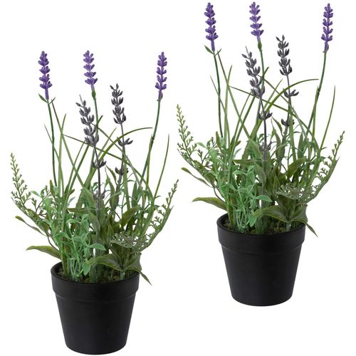 4064118078098 - Kunstpflanze CREATIV GREEN Lavendel Kunstpflanzen Gr H 25 cm 3 St lila Kunstpflanze Künstliche Zimmerpflanzen Kunstpflanzen 3er Set im Kunststofftopf 4064118078098 - Kunstpflanze CREATIV GREEN Lavendel Kunstpflanzen Gr H 25 cm 3 St lila Kunstpflanze Künstliche Zimmerpflanzen Kunstpflanzen 3er Set im Kunststofftopf