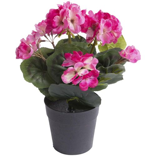 8505451850065 - Kunstblume BOTANIC-HAUS Geranie mit 6 Stielen Kunstpflanzen Gr Ø H 18 cm x 26 cm 1 St bunt (beauty) Kunst-Blumen 8505451850065 - Kunstblume BOTANIC-HAUS Geranie mit 6 Stielen Kunstpflanzen Gr Ø H 18 cm x 26 cm 1 St bunt (beauty) Kunst-Blumen