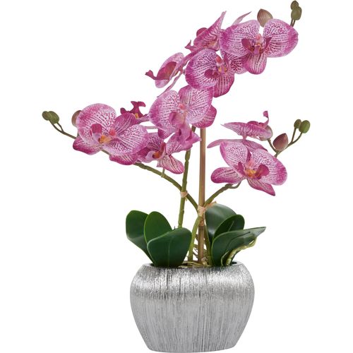 4064118073000 - Kunstpflanze HOME AFFAIRE Orchidee Kunstpflanzen Gr B H 13 cm x 38 cm 1 St lila Künstliche Zimmerpflanzen Kunstpflanzen Kunstorchidee im Topf