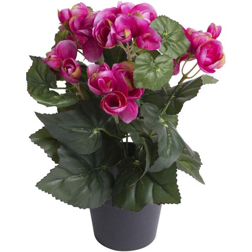 8505451846068 - Kunstblume BOTANIC-HAUS Begonienbusch mit 7 Stielen bunt (beauty) B18cm H26cm T18cm Ø18cm Kunststoff Kunstpflanzen 8505451846068 - Kunstblume BOTANIC-HAUS Begonienbusch mit 7 Stielen bunt (beauty) B18cm H26cm T18cm Ø18cm Kunststoff Kunstpflanzen