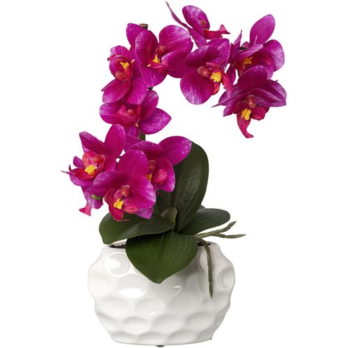 4064118136989 - Kunstorchidee CREATIV GREEN Deko-Orchidee Phalaenopsis im Keramiktopf pink B17cm H33cm T13cm Obermaterial 95% Polyethylen 5% Polyester Kunstpflanzen