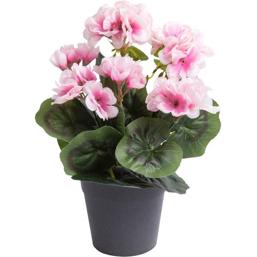 8505451850072 - Kunstblume BOTANIC-HAUS Geranie mit 6 Stielen Kunstpflanzen Gr Ø H 18 cm x 26 cm 1 St beige (creme pink) Kunst-Blumen 8505451850072 - Kunstblume BOTANIC-HAUS Geranie mit 6 Stielen Kunstpflanzen Gr Ø H 18 cm x 26 cm 1 St beige (creme pink) Kunst-Blumen
