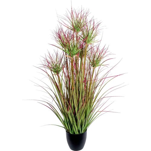 4064118144182 - Kunstgras CREATIV GREEN Grasbusch Kunstpflanzen Gr Ø H 35 cm x 95 cm 1 St grün (grün rot) Kunst-Gräser mit Blüten im Topf 4064118144182 - Kunstgras CREATIV GREEN Grasbusch Kunstpflanzen Gr Ø H 35 cm x 95 cm 1 St grün (grün rot) Kunst-Gräser mit Blüten im Topf
