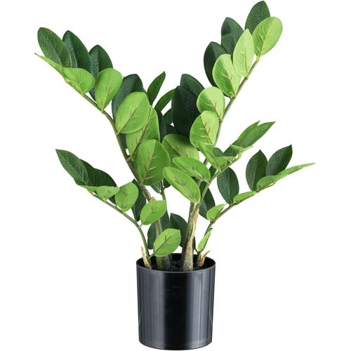 4064118241478 - Kunstpflanze CREATIV GREEN Zamifolia grün H45cm Kunststoff Kunstpflanzen mit 6 Wedeln