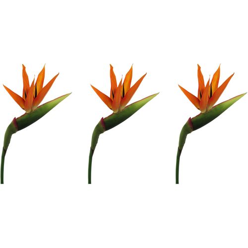 4064118118466 - Kunstblume CREATIV GREEN Mohn Kunstpflanzen Gr B H 15 cm x 100 cm 3 St orange Kunst-Blumen mit dekorativer Blüte 4064118118466 - Kunstblume CREATIV GREEN Mohn Kunstpflanzen Gr B H 15 cm x 100 cm 3 St orange Kunst-Blumen mit dekorativer Blüte