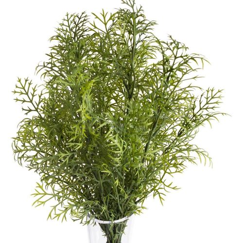 8714344106954 - Künstliche Zimmerpflanze BOTANIC-HAUS Wildkräuterbusch Kunstpflanzen Gr Ø H 25 cm x 45 cm 1 St grün Künstliche Zimmerpflanzen 8714344106954 - Künstliche Zimmerpflanze BOTANIC-HAUS Wildkräuterbusch Kunstpflanzen Gr Ø H 25 cm x 45 cm 1 St grün Künstliche Zimmerpflanzen