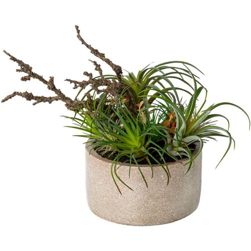 4064118138044 - Künstliche Zimmerpflanze CREATIV GREEN Tillandsien-Mix in Zementschale Kunstpflanzen Gr Ø H 25 cm x 26 cm 1 St grün Künstliche Zimmerpflanzen 4064118138044 - Künstliche Zimmerpflanze CREATIV GREEN Tillandsien-Mix in Zementschale Kunstpflanzen Gr Ø H 25 cm x 26 cm 1 St grün Künstliche Zimmerpflanzen