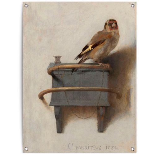 8714597628159 - Poster REINDERS Der Distelfink braun (farbe bild(er) braun) B60cm H80cm T01cm Leinwand Bilder 8714597628159 - Poster REINDERS Der Distelfink braun (farbe bild(er) braun) B60cm H80cm T01cm Leinwand Bilder