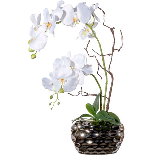 4064118138211 - Kunstorchidee CREATIV GREEN Phalaenopsisarrangement in Keramikvase weiß H55cm Obermaterial 95% Polyethylen 5% Polyester Kunstpflanzen 4064118138211 - Kunstorchidee CREATIV GREEN Phalaenopsisarrangement in Keramikvase weiß H55cm Obermaterial 95% Polyethylen 5% Polyester Kunstpflanzen