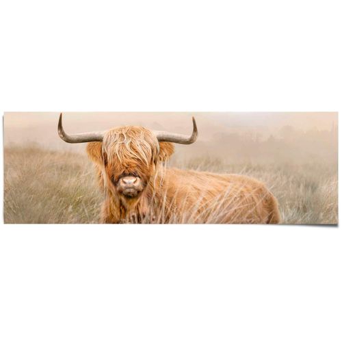8714597626391 - Poster REINDERS Hochlandrind beige (farbe bild(er) beige) B158cm H53cm T01cm Papier Bilder 8714597626391 - Poster REINDERS Hochlandrind beige (farbe bild(er) beige) B158cm H53cm T01cm Papier Bilder