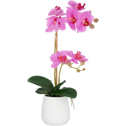 4064118325741 - Kunstorchidee CREATIV GREEN Orchidee Phalaenopsis lila H50cm Kunststoff Kunstpflanzen mit dauerhafter Blütenpracht 4064118325741 - Kunstorchidee CREATIV GREEN Orchidee Phalaenopsis lila H50cm Kunststoff Kunstpflanzen mit dauerhafter Blütenpracht