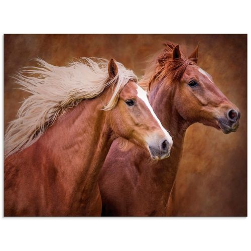 4058661410290 - Glasbild ARTLAND Reinrassige Pferde I Bilder Gr B H 60 cm x 45 cm Glasbild Haustiere Querformat 1 St braun Bild Glasbild Glasbilder Bilder in verschiedenen Größen 4058661410290 - Glasbild ARTLAND Reinrassige Pferde I Bilder Gr B H 60 cm x 45 cm Glasbild Haustiere Querformat 1 St braun Bild Glasbild Glasbilder Bilder in verschiedenen Größen
