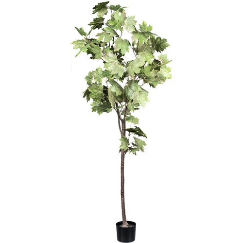 4064118182016 - Kunstbaum CREATIV GREEN Ahornbaum grün Kunstpflanzen H 175cm mit detailgetreuen Blättern H175cm